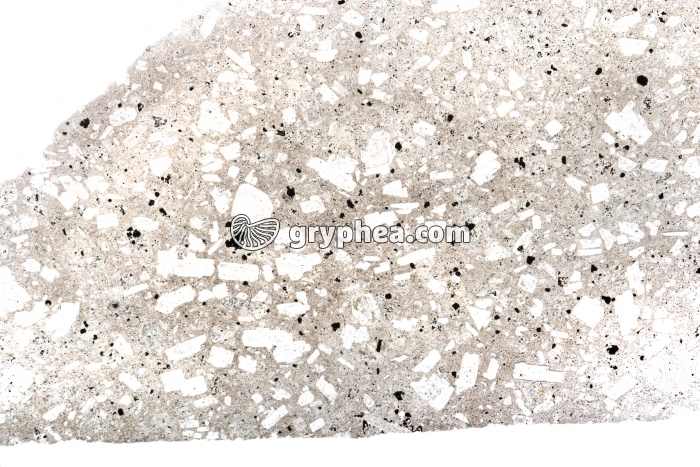 Andésite LPNA x1,5 - gryphea.org